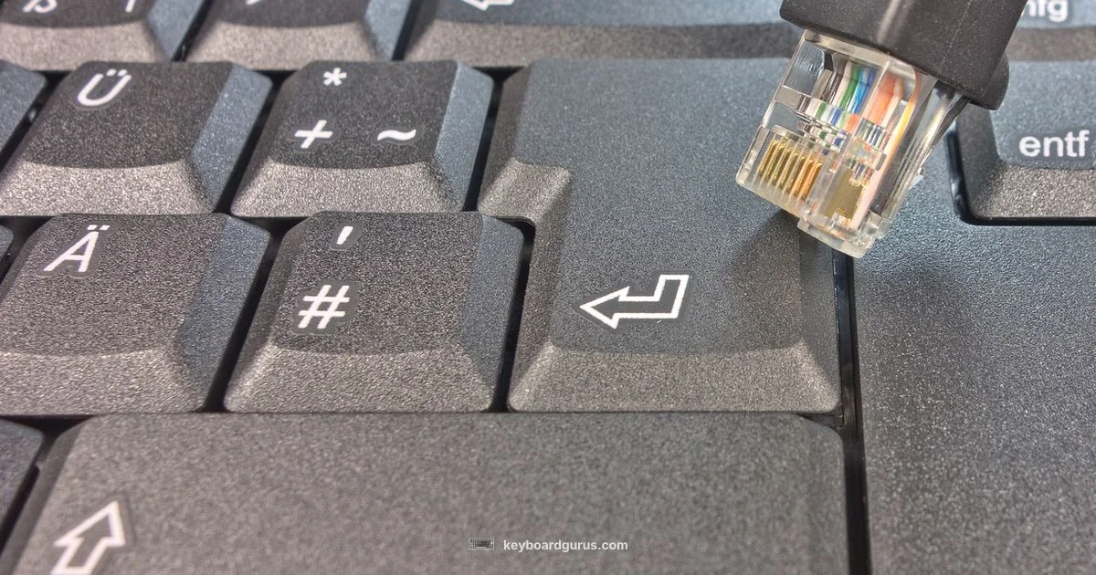 Typing Troubleshoot - Keyboard Gurus