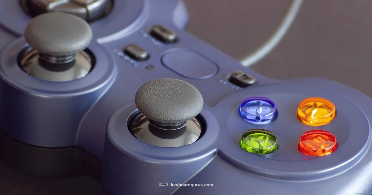 Input Showdown - Keyboard Gurus