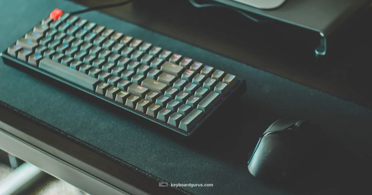 Keys Layout Essentials - Keyboard Gurus