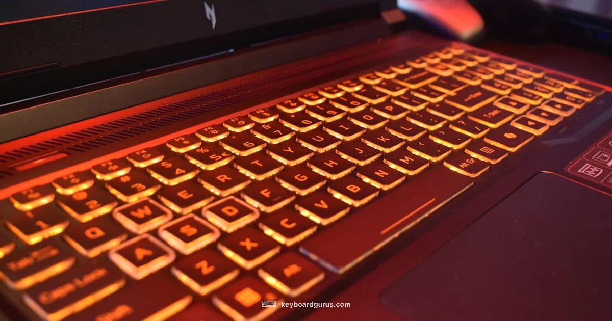 Backlight Basics - Keyboard Gurus