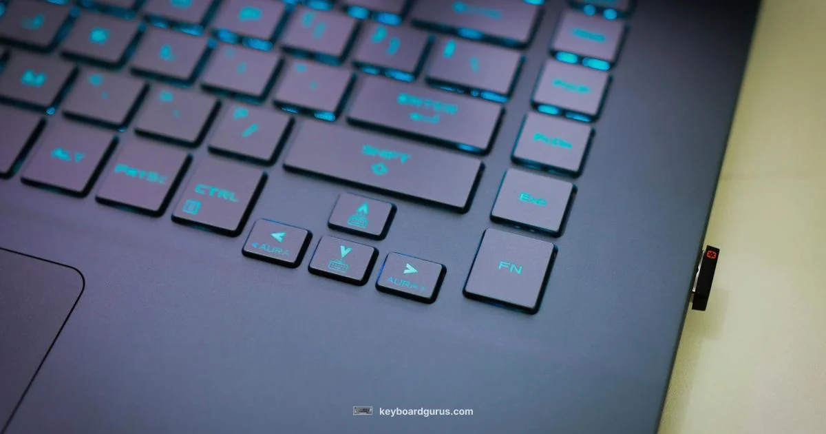 Backlit Keyboard - Keyboard Gurus