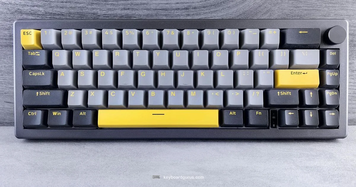 Custom Keyboard Guide - Keyboard Gurus