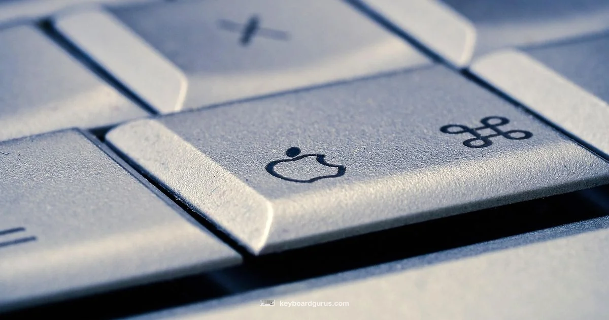 Mac Shortcut Fixes - Keyboard Gurus