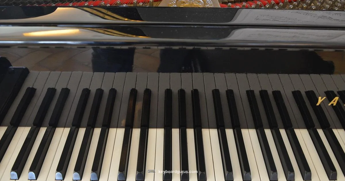 Online Keyboard Player - Keyboard Gurus