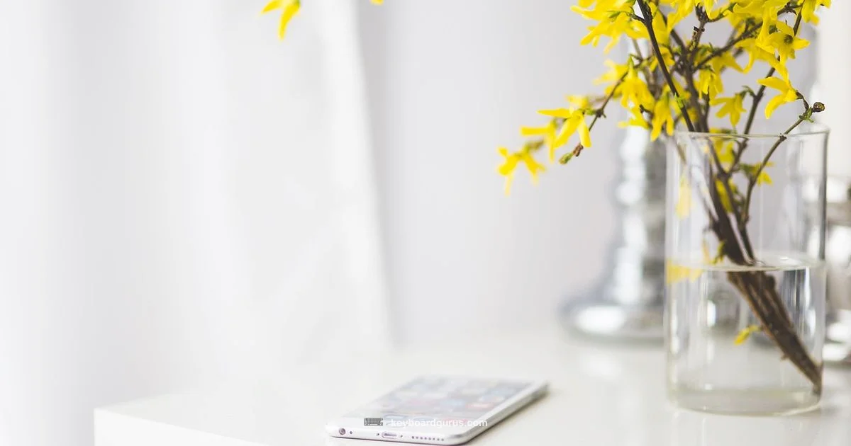 iPhone Keyboard Pairing - Keyboard Gurus