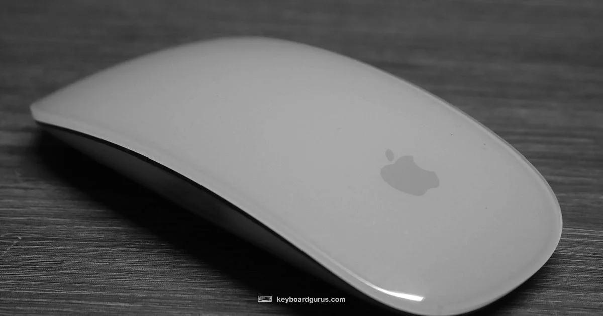 When Input Fails - Keyboard Gurus