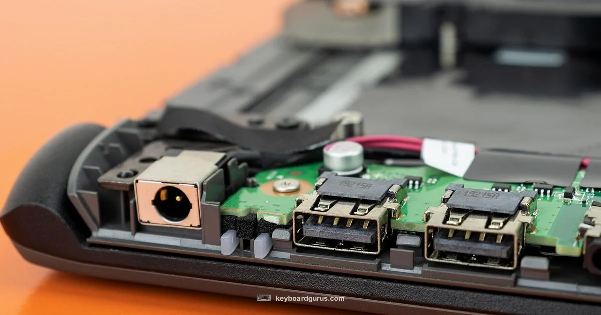 USB Dongle Guide - Keyboard Gurus