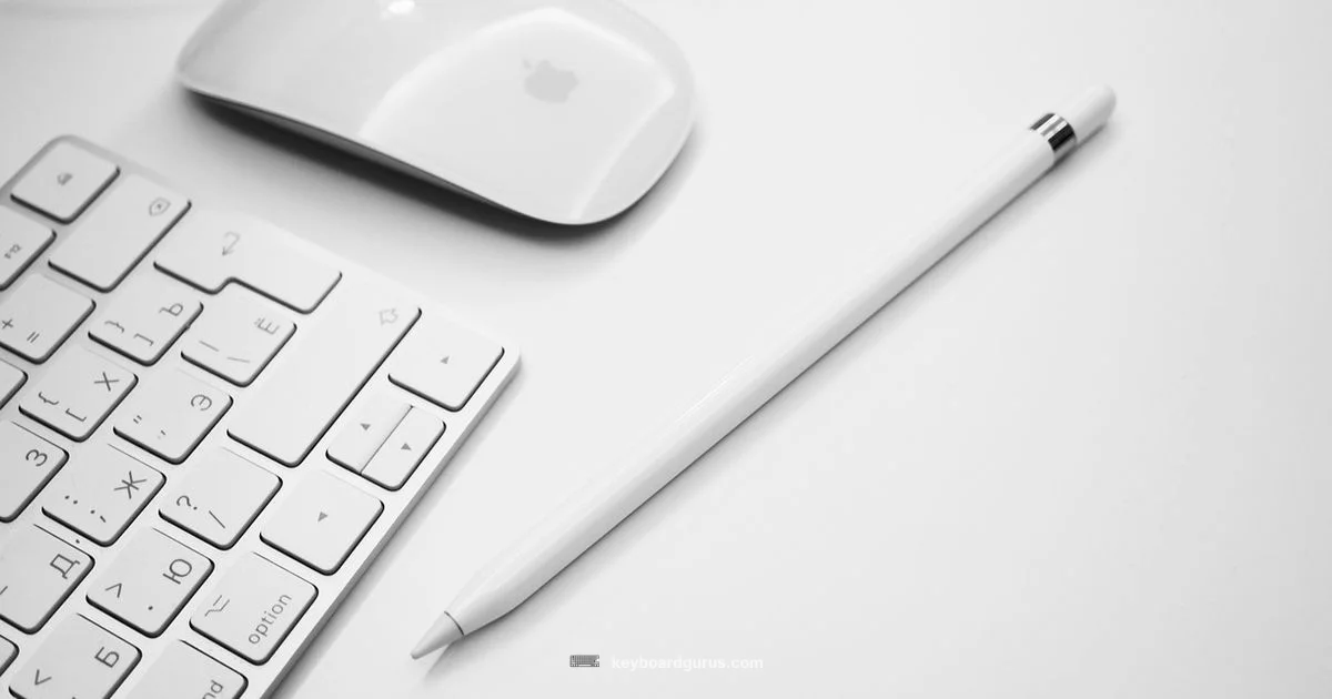 Dell Wireless Duo - Keyboard Gurus