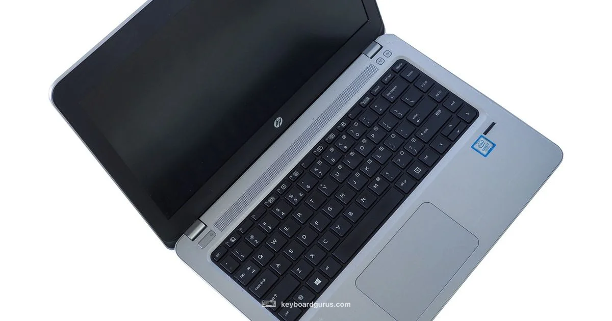 HP Keyboard Light - Keyboard Gurus