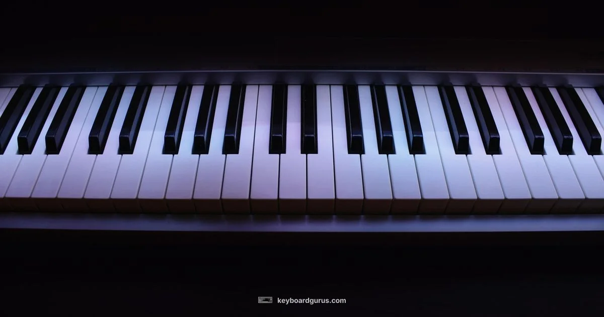 Digital vs Electronic Keyboards - Keyboard Gurus