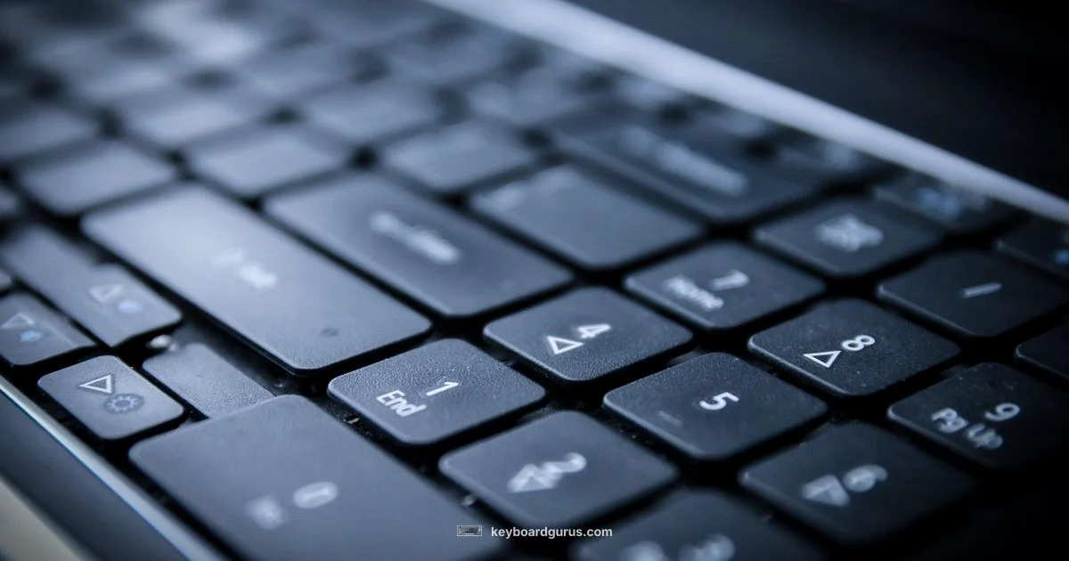 Keyboard vs Piano Keyboard vs Piano - Keyboard Gurus