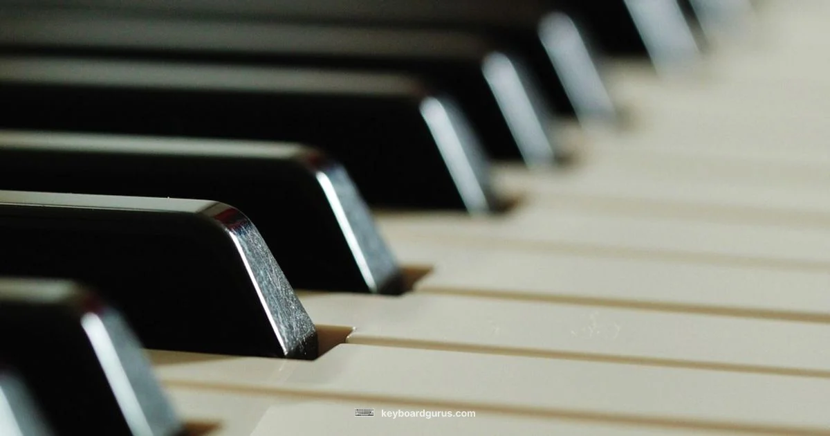Quiet Keyboard - Keyboard Gurus