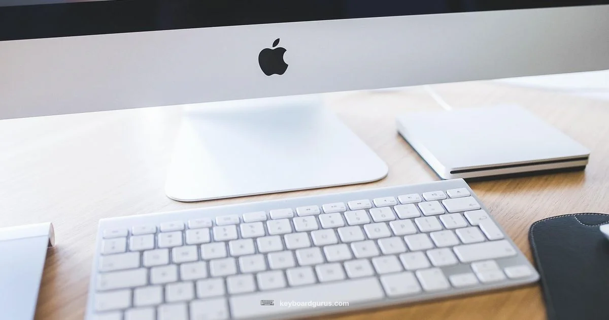 QWERTY Meaning - Keyboard Gurus