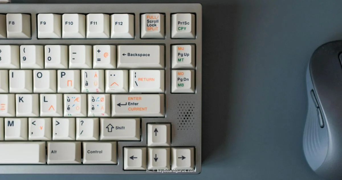 Ergo Keyboard Worth It - Keyboard Gurus