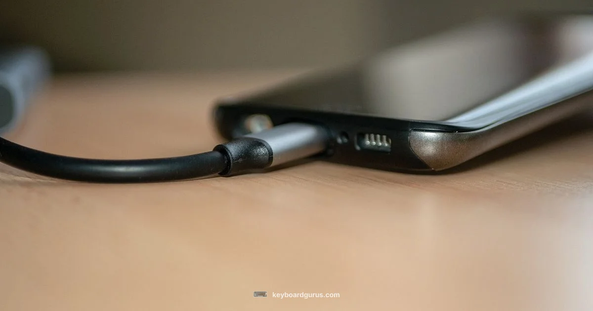 Keyboard Through Monitor - Keyboard Gurus