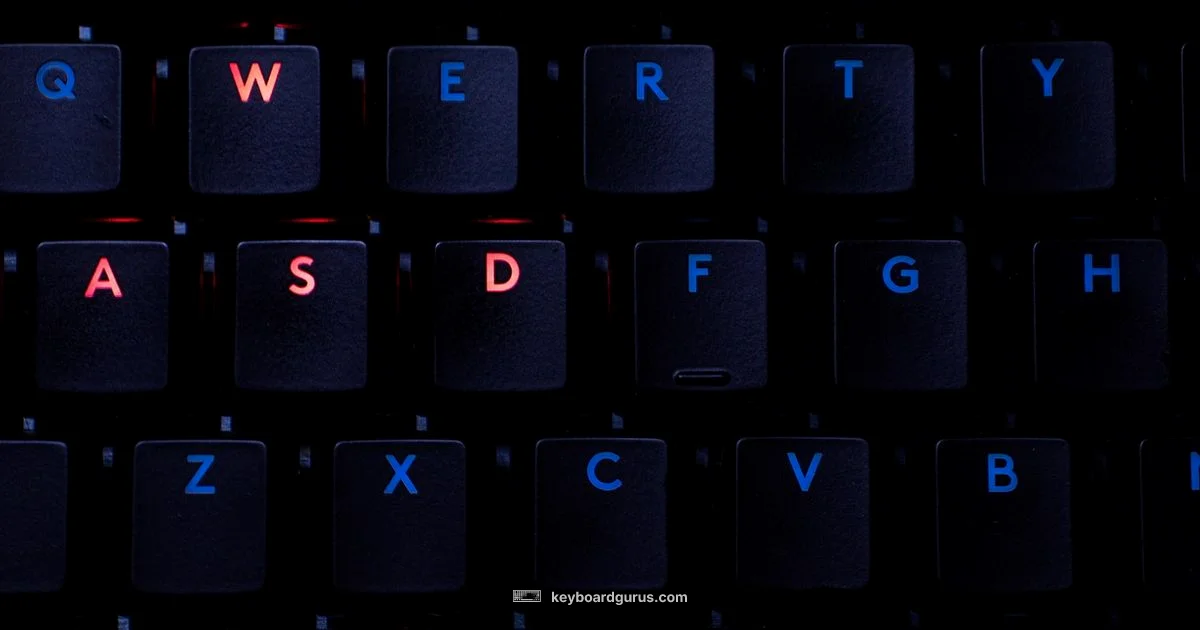 Precision vs Comfort Precision vs Comfort - Keyboard Gurus