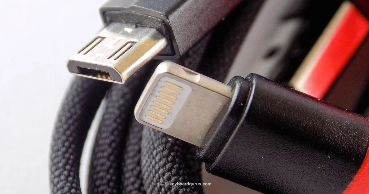 Wired Keyboard Guide - Keyboard Gurus