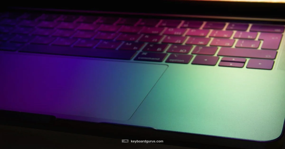 Colourful Keyboard Guide - Keyboard Gurus