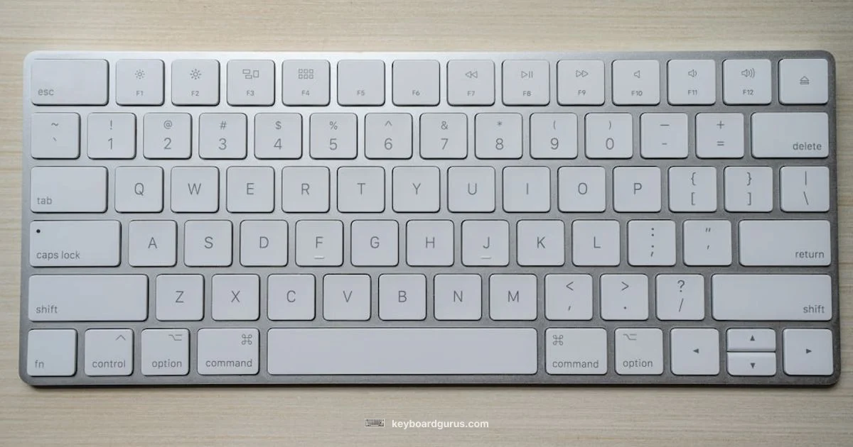 Chatter Fix Guide - Keyboard Gurus