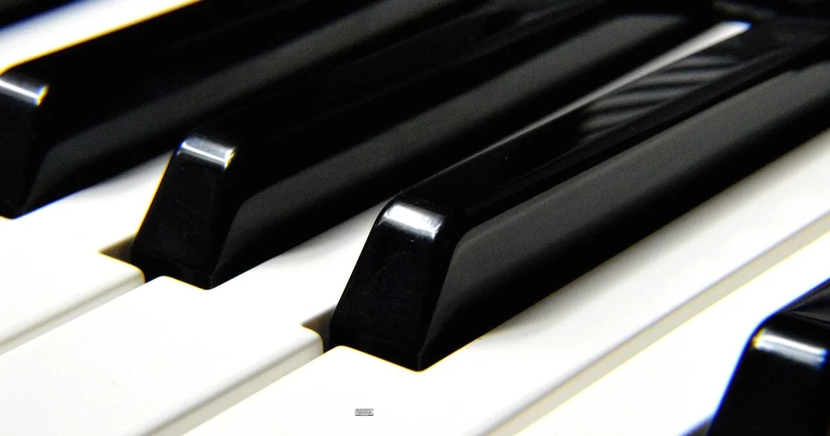 Nearby Piano Keyboards Nearby Piano Keyboards - Keyboard Gurus