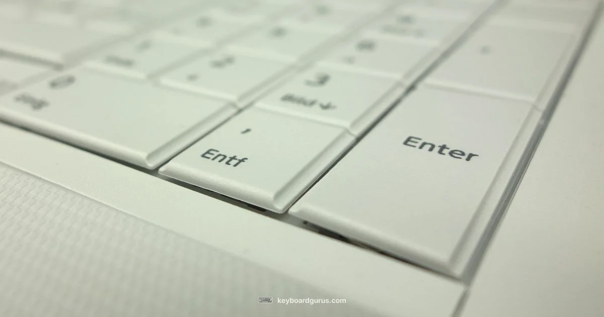 Num Lock Guide - Keyboard Gurus