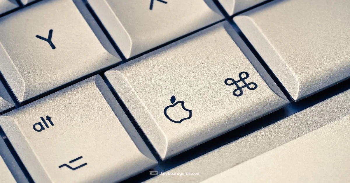 Degree Symbol Typing - Keyboard Gurus