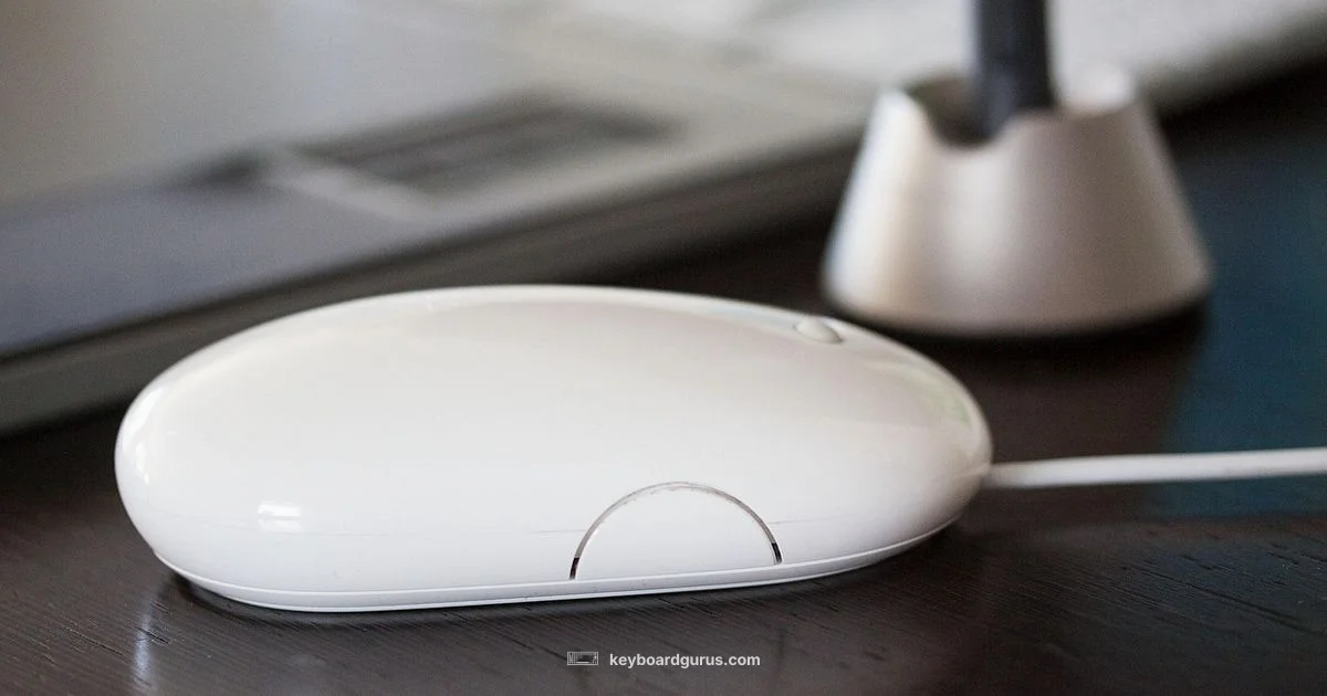 iPad Input Mastery - Keyboard Gurus