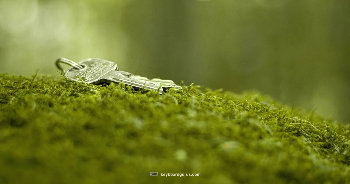 Key Size Basics - Keyboard Gurus