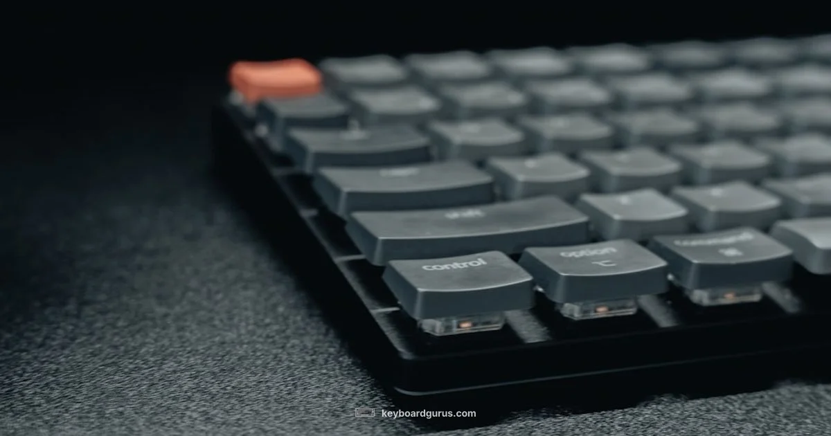 Mechanical Keyboard Essentials - Keyboard Gurus