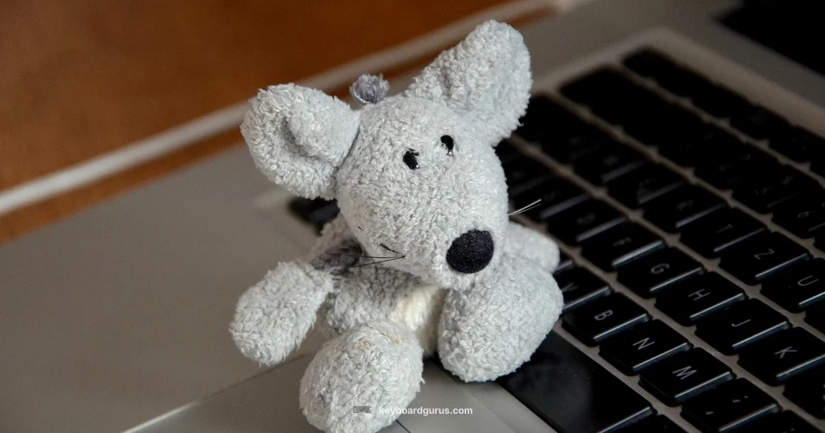 Apple Input Duo - Keyboard Gurus