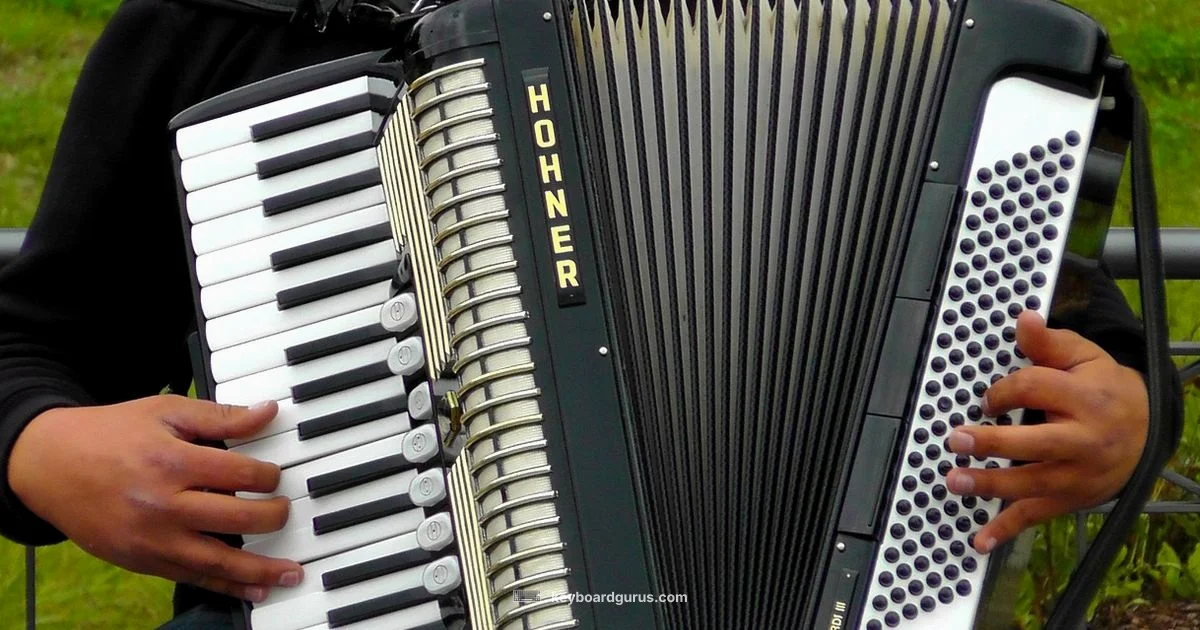 Online Accordion Keyboard - Keyboard Gurus