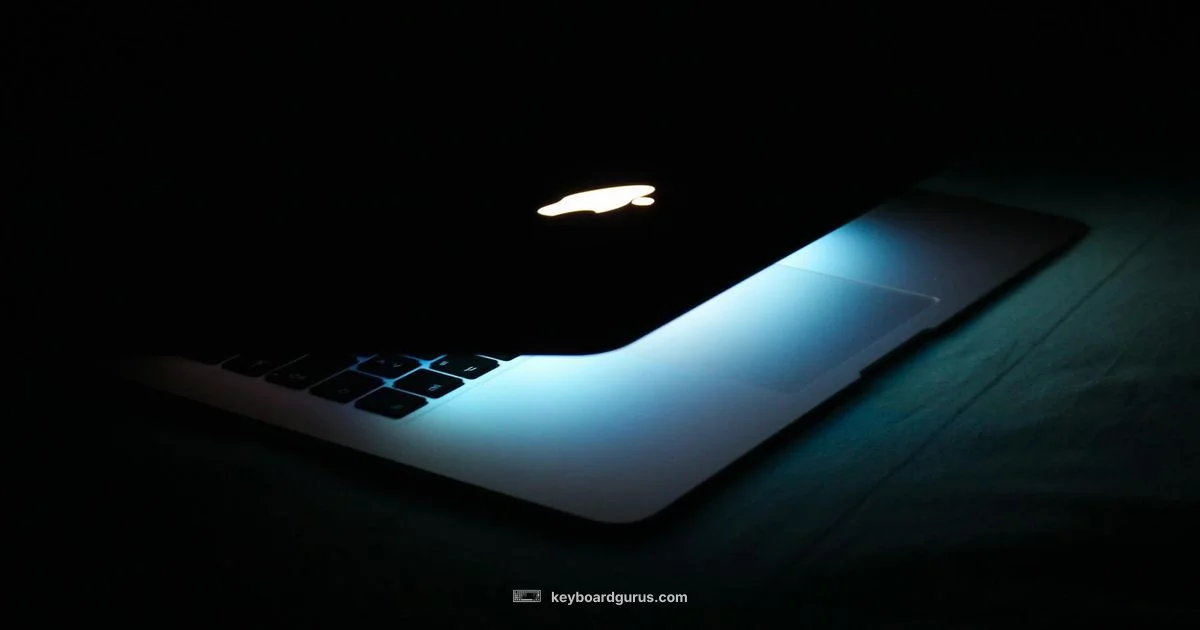 ROG Keyboard Light Guide - Keyboard Gurus