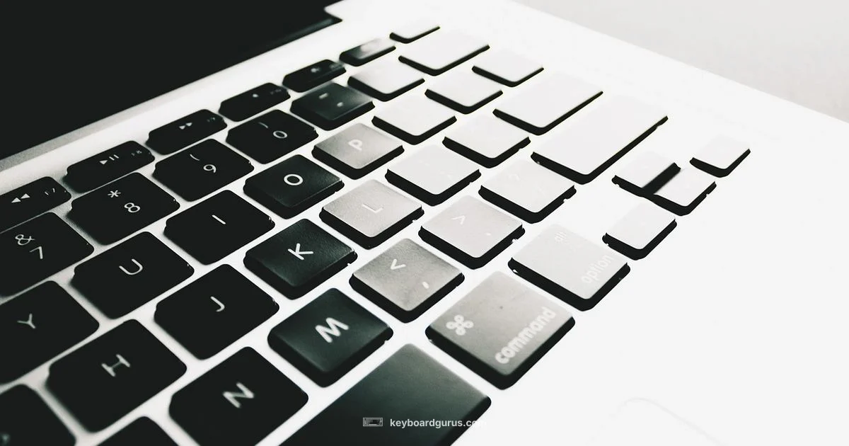 Keyboard Wear Guide - Keyboard Gurus