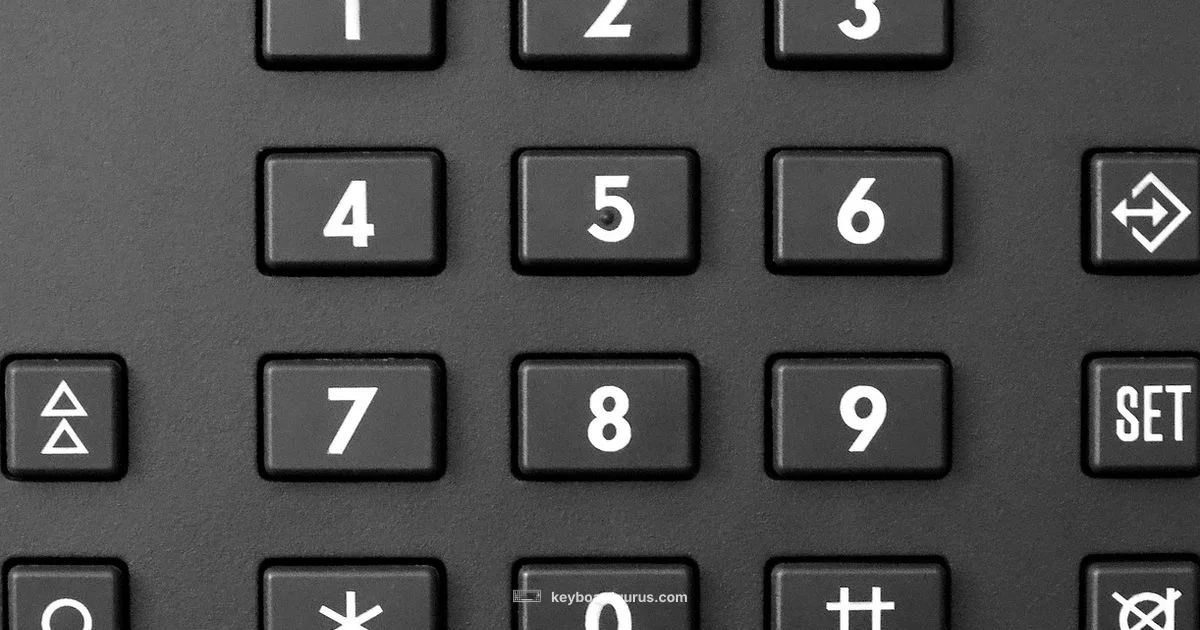 Number Pad Essentials Number Pad Essentials - Keyboard Gurus