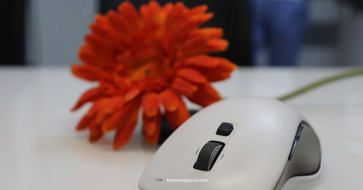 Hybrid Input Setup - Keyboard Gurus