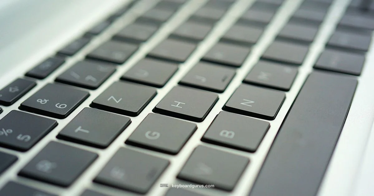 Switch Overview - Keyboard Gurus