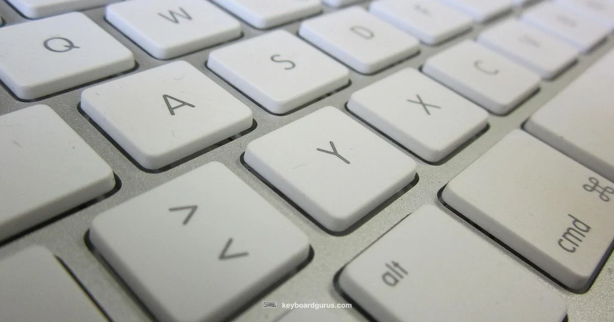 Mac Keyboard Fix Mac Keyboard Fix - Keyboard Gurus