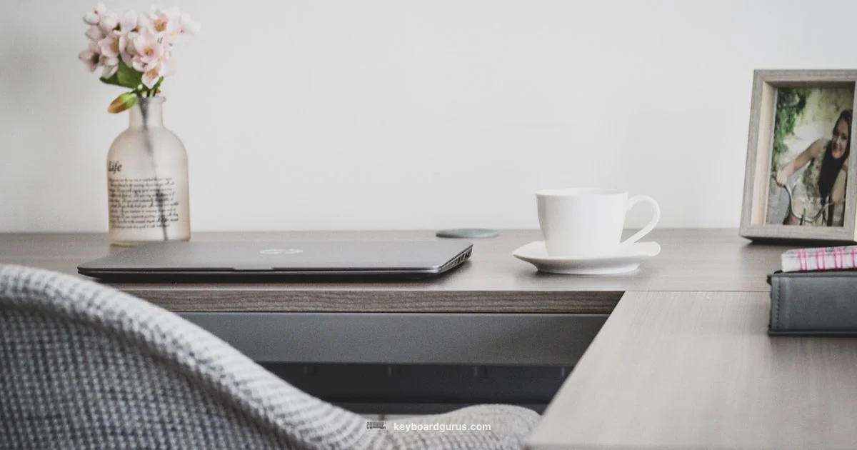 Best Beginner Keyboard Picks - Keyboard Gurus