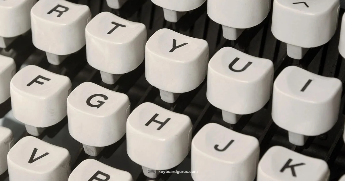 Keyboard Essentials Guide - Keyboard Gurus