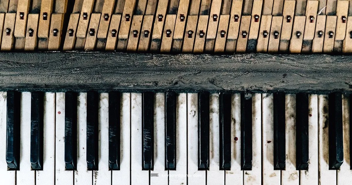 104 Key Keyboard Guide 104 Key Keyboard Guide - Keyboard Gurus