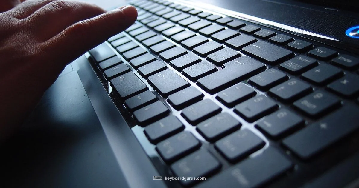 Switch Longevity - Keyboard Gurus