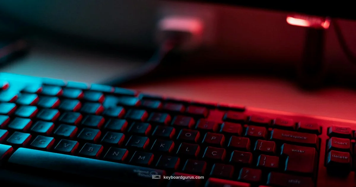 60 Percent Keyboard - Keyboard Gurus