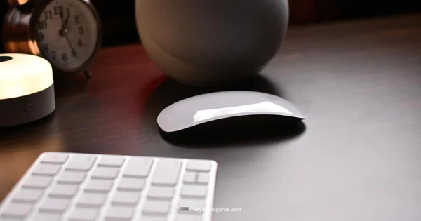 Unified Wireless Duo - Keyboard Gurus