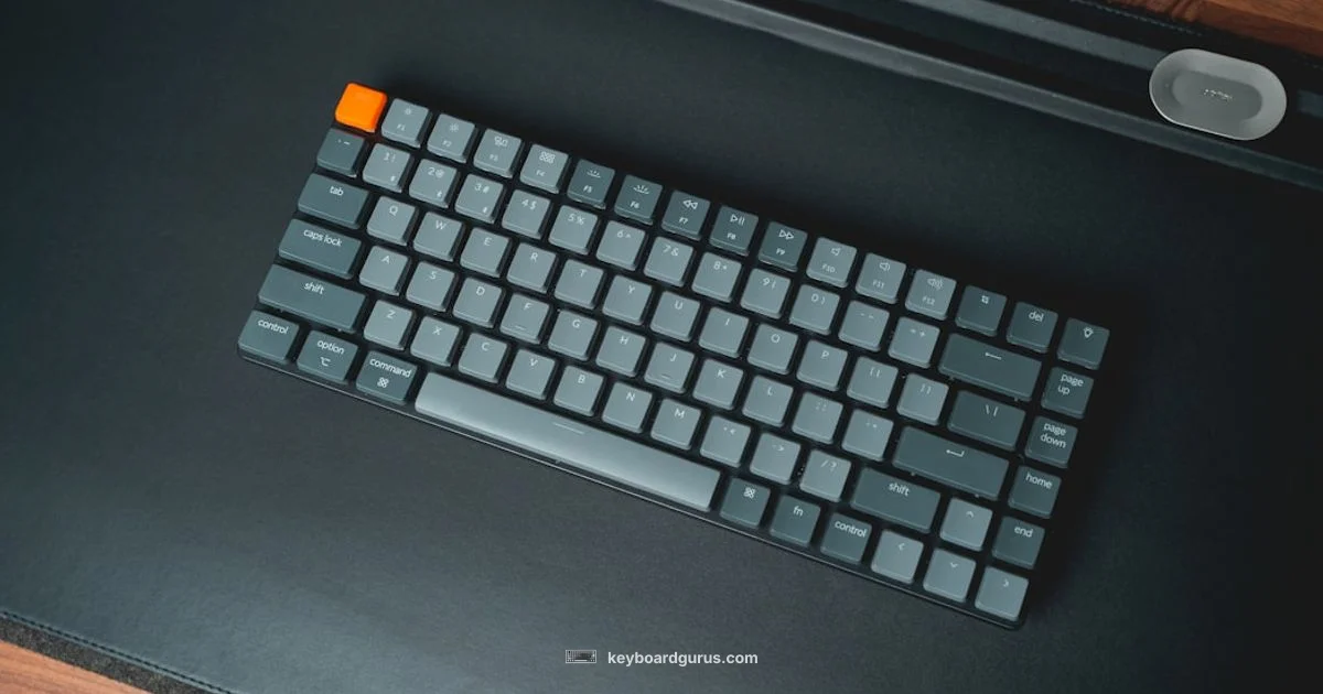 Keychron V1 Overview - Keyboard Gurus