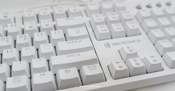 Mechanical Keyboard Basics - Keyboard Gurus