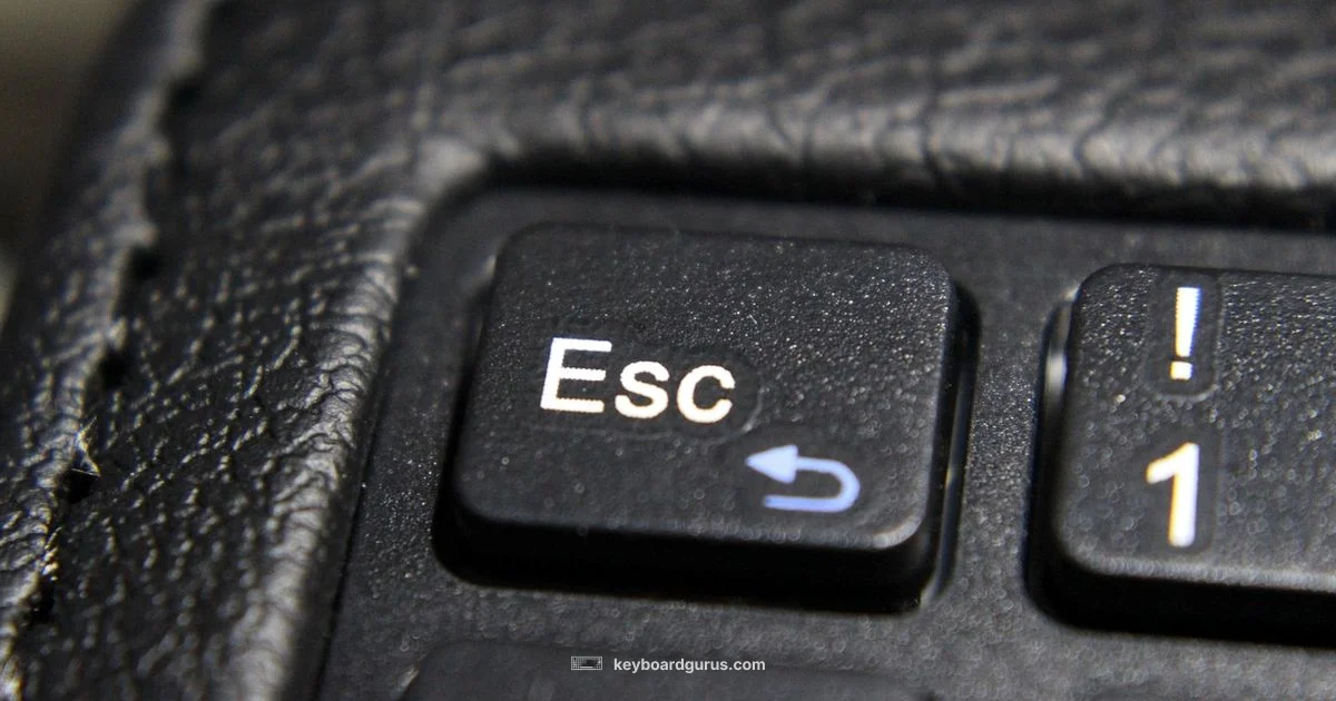 iPad Pro Keyboard Case iPad Pro Keyboard Case - Keyboard Gurus