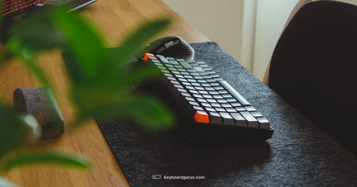 Mechanical Keyboard Guide - Keyboard Gurus