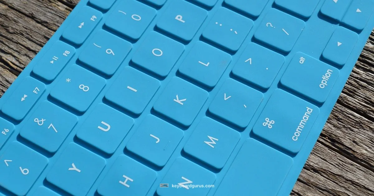 Keyboard Basics - Keyboard Gurus