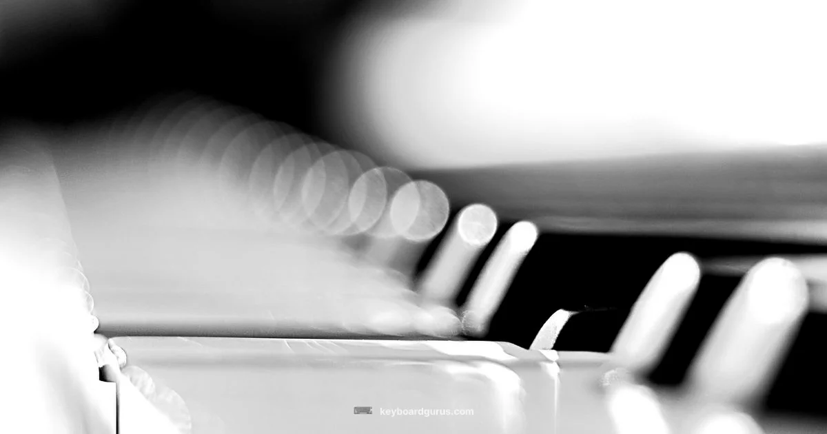 88 Key Keyboard Setup - Keyboard Gurus