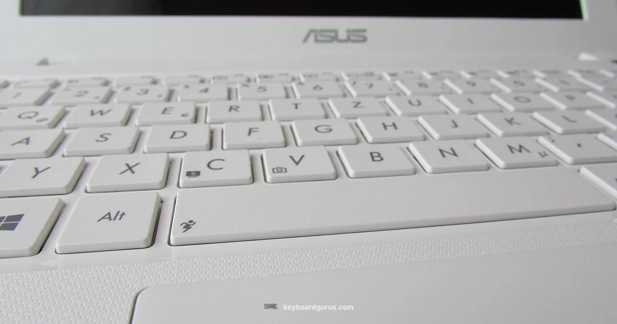 Backlit Keyboard Guide - Keyboard Gurus